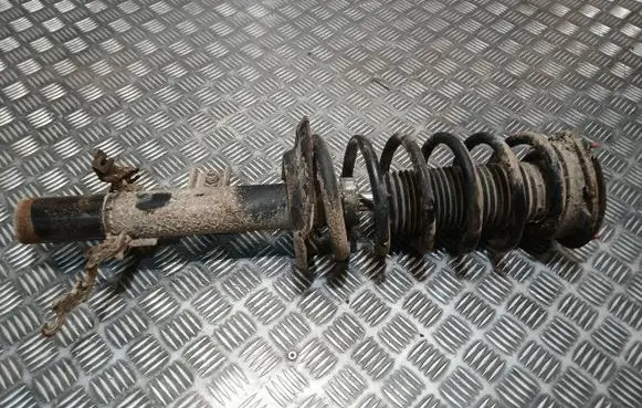 Land Rover Freelander 2 - LR2 Rear shock absorber with coil spring 
