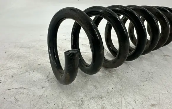 Rear coil spring