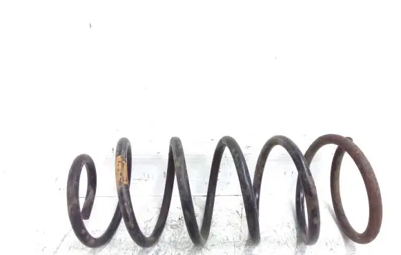 Renault Megane II Rear coil spring