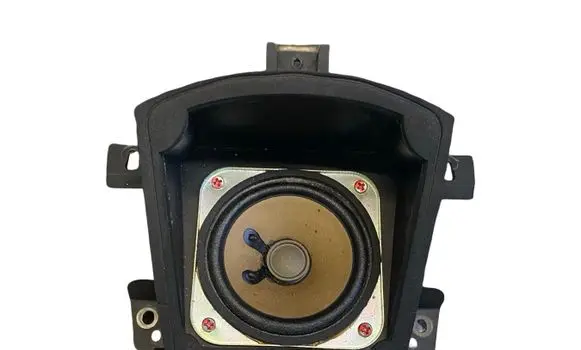 Panel speaker