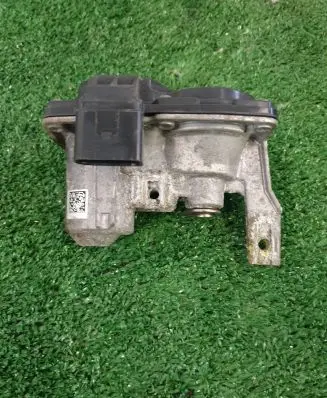 Throttle body valve
