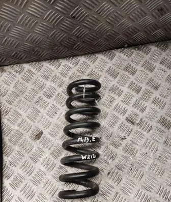 Rear coil spring