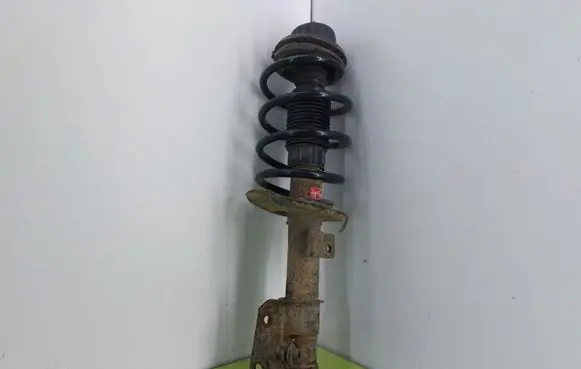 Fiat Bravo Front shock absorber with coil spring 