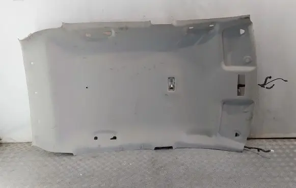 Nissan Leaf II (ZE1) Headlining 739105SH0E 572168442