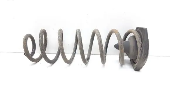 Rear coil spring
