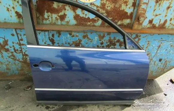 Volkswagen PASSAT B5.5 Front door 