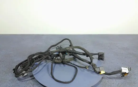 Volvo S90, V90 Other wiring loom 31415821