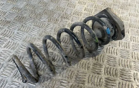 Nissan Qashqai Rear coil spring