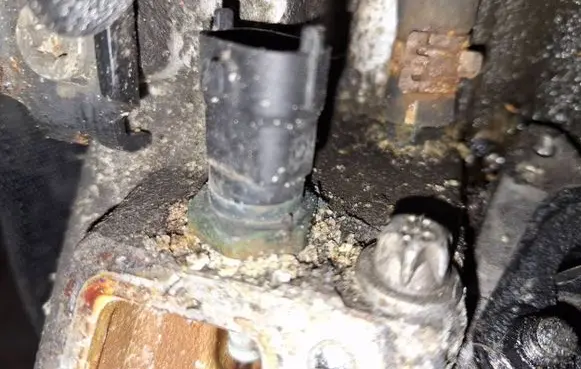 Coolant temperature sensor