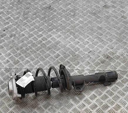 Audi Q4 Sportback e-tron Front shock absorber/damper 1EA412021 1EA412021GR
