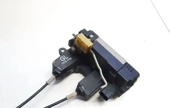 Opel Signum Rear door lock 13157759