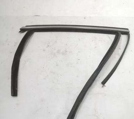 Ford Fusion II Rubber seal rear door 