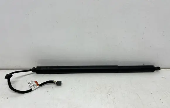 Tailgate/trunk strut/damper