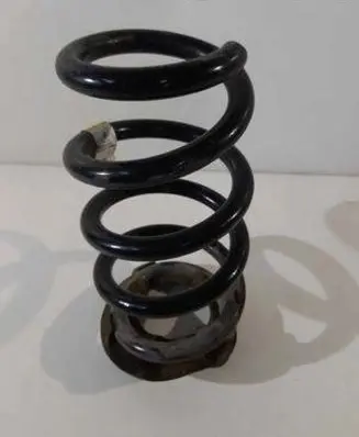 Tesla Model Y Rear coil spring 115647500B