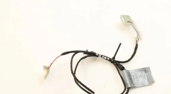 BMW X6 M Front door handle light (exterior) 7209882