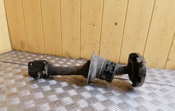 Renault Megane I Front shock absorber/damper