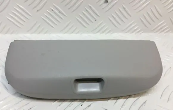 Mercedes-Benz B W245 Sunglasses storage box A1698100041