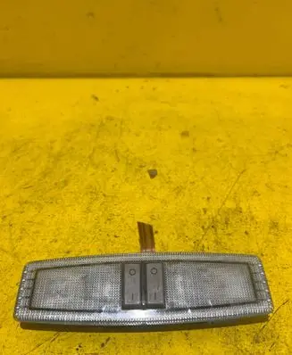 Opel Zafira B Rear seat light 13101641