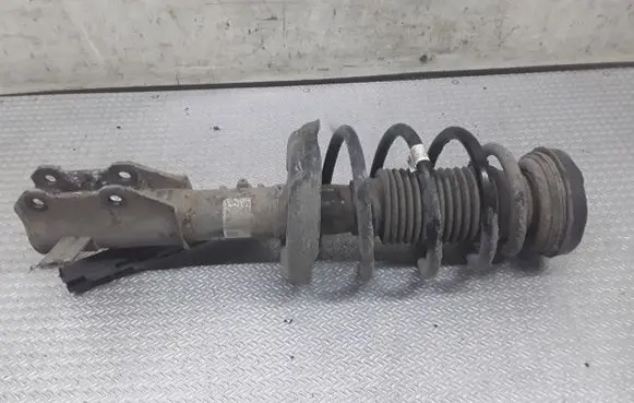 Opel Insignia A Front shock absorber with coil spring