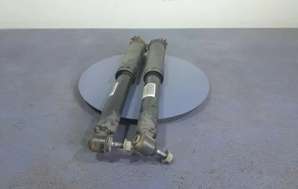 Renault Megane IV Rear shock absorber/damper 562101385R