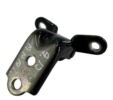 Rear door lower hinge