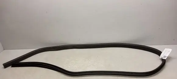 Ford Focus ST Rear door rubber seal (on body) 