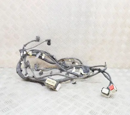 Ford Mustang Mach-E Other wiring loom LJ8T14B599EAE