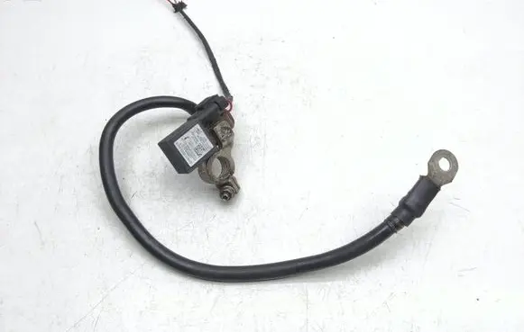 Mercedes-Benz E A207 Negative earth cable (battery) A1665420418