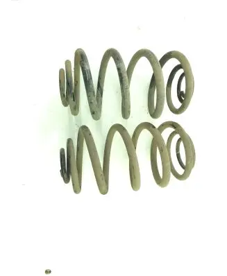 Renault Trafic III (X82) Rear coil spring
