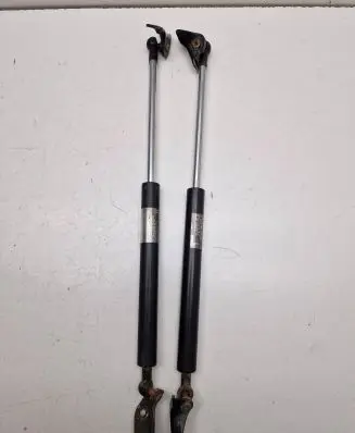 Tailgate strut