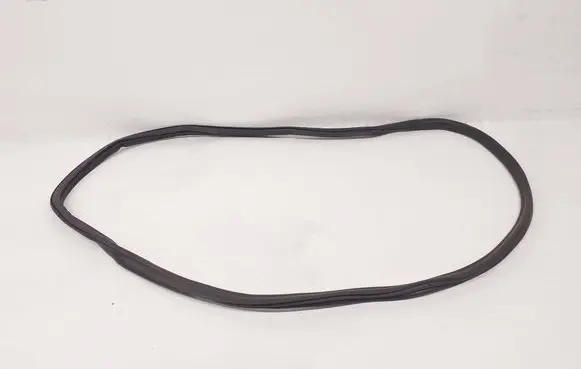 BMW 5 G30 G31 G38 Front door rubber seal 7337000