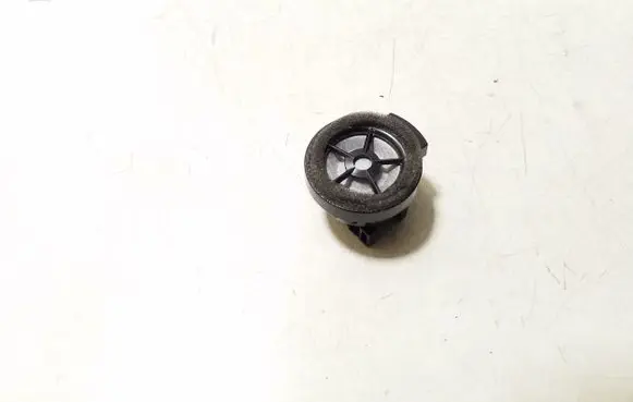 Front door high frequency speaker