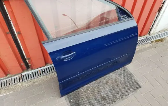 Skoda Rapid (NH) Front door
