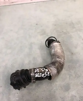 Ford Focus Engine coolant pipe/hose