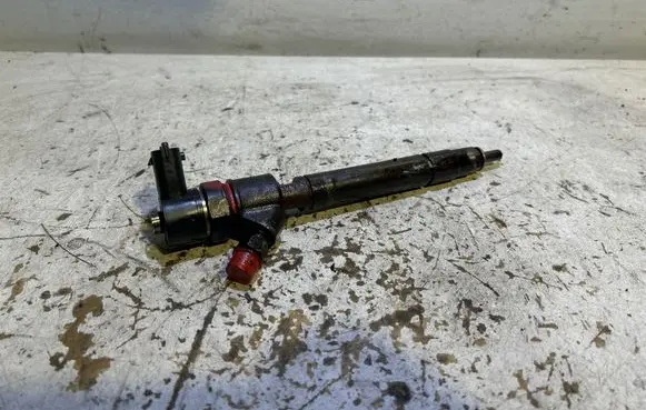 Volvo V70 Fuel injector 0445110298