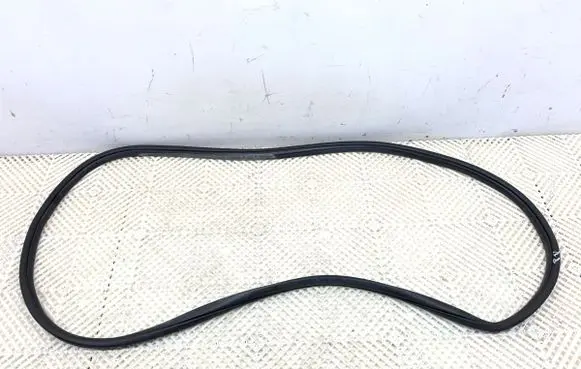 Jeep Grand Cherokee Rubber seal front door (on door) 55399173