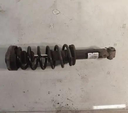BMW X3 F25 Rear shock absorber with coil spring 6796317