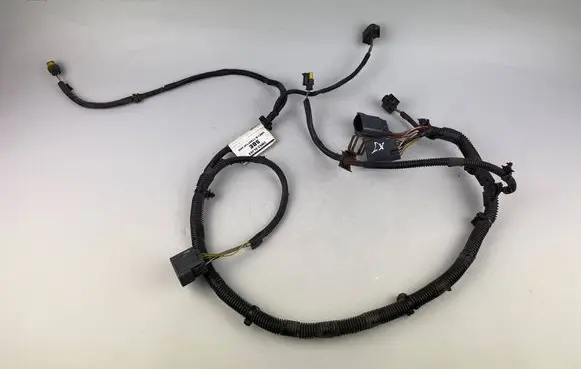 Other wiring loom