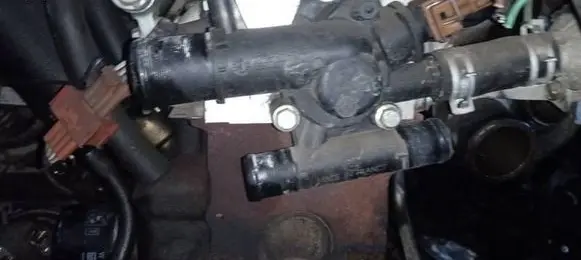 Renault Scenic I Engine coolant pipe/hose