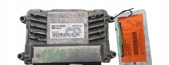 Chevrolet Spark Engine ECU kit and lock set 25182025--- 25182025 5WY1K11A