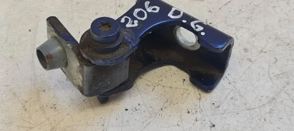 Peugeot 206 Rear door lower hinge