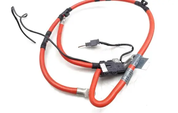 BMW 6 E63 E64 Positive wiring loom 6928990