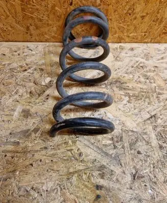 Rear coil spring