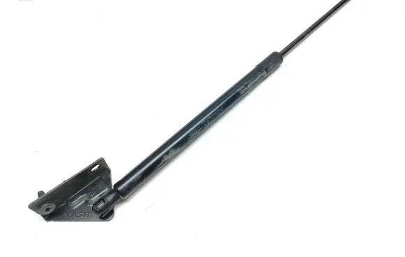 Citroen C4 II Picasso Tailgate/trunk strut/damper 9819665980 1838160635N
