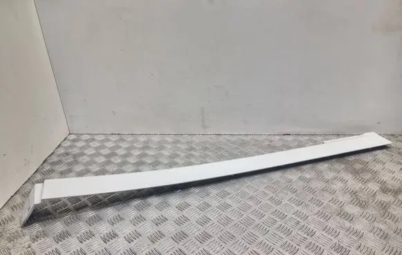 Mercedes-Benz Vito Viano W639 Sliding door trim (molding) A6396913308 M8389