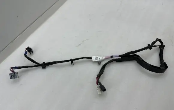 Rear door wiring loom