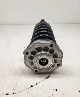 BMW X3 G01 Rear shock absorber with coil spring 6871802 1699781007