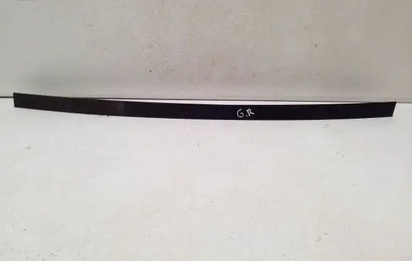 BMW X5 F15 Rear door windshield rail 7289656