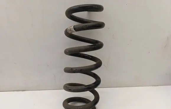 Rear coil spring