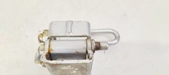 Rear door lower hinge